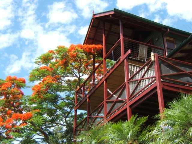 Maleny Tropical Retreat Bed & Breakfast Bagian luar foto