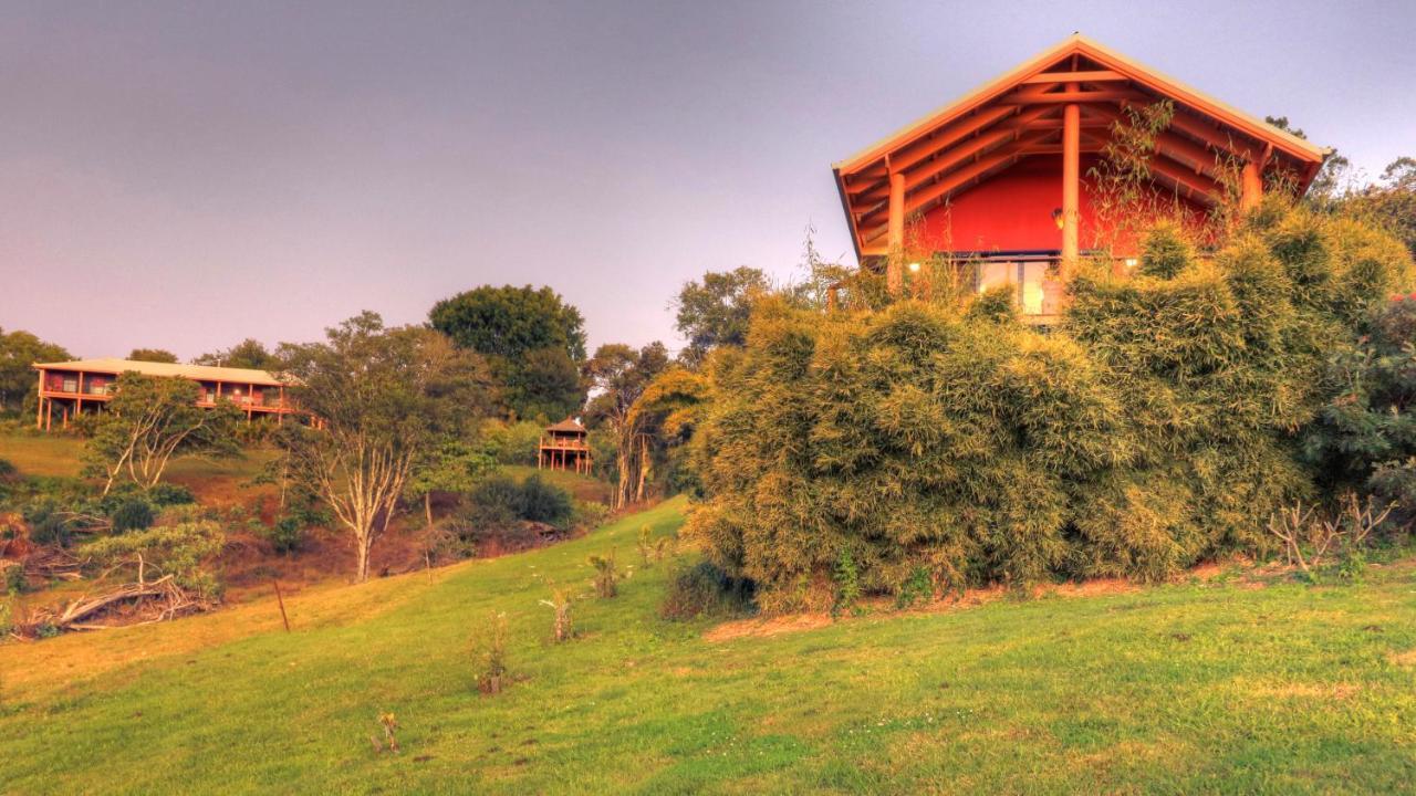 Maleny Tropical Retreat Bed & Breakfast Bagian luar foto